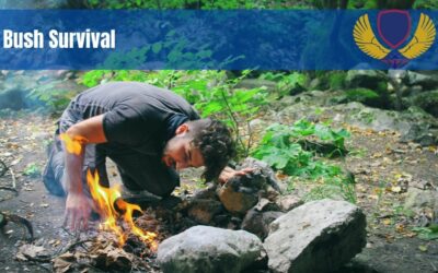 Bush Survival