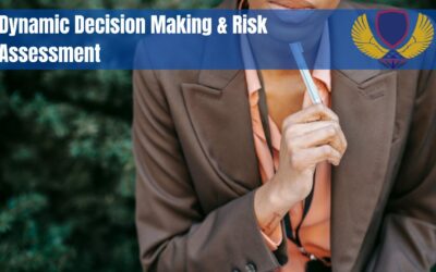 Dynamic Decision Making and Risk Assessment